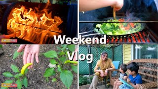 Kitchen Garden update  & Chicken Masala BBQ | Weekend Vlog | Life with Nisa