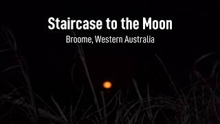 oz outback Staircase to the Moon - Broome Western Australia // Moonrise Slow TV