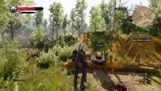 Wiedźmin 3 : Dziki gon #4 Eksploracja PS4 Gameplay