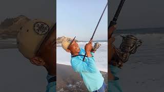 Ikan Cobia monster berhasil landed