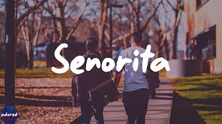 Shawn Mendes - Señorita (Lyrics)