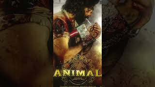 Ranbir Kapoor • Arjun Reddy • Sandeep Reddy Vanga ANIMAL MOVIE #shorts