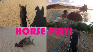 Horse Play!  Riding Lesson, Beach Visit & Driving...