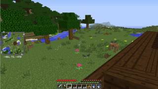 Minecraft - Vita #008