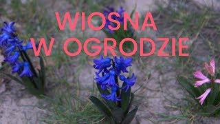 Vlog ogrodniczy: Co się dzieje w ogrodzie wiosną? | Eco Zen