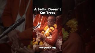 A Sadhu Doesn't Cut Trees - Prabhupada 0509