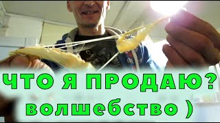 Фермерские продукты - как и что