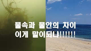 아름다운 동해 바다가 준 배신!! 동해 놀래미는 내가 다 봤다!! 동해 다이빙 east sea diving