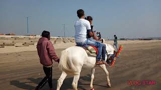 horse riding at digha/ west Bengal / India