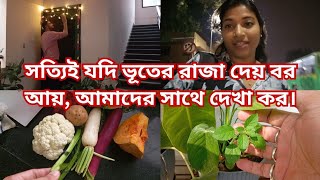 No Bhoot, Only Chaturdashi | No Diwali Holiday For Renee This Year | Will Rain Ruin Diwali?