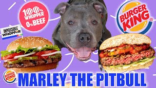 Pitbull Tries Burger King's *NEW IMPOSSIBLE WHOPPER* !! 😱