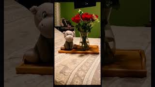 Surprising Girlfriend with Flowers #shorts #couple #love