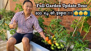 Full Garden Update Tour | Dalle khursani | Chayote | Bottlegourd | Nepali Family UK | Gardening Vlog