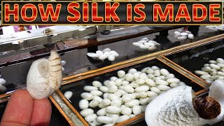 How Silk is Made | Making of Silk thread from silkworm cocoons