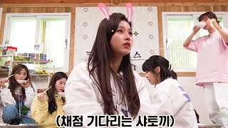 [TWICE/사나] 정답 기다리는 토끼사나♡