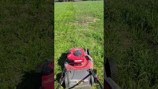 Let's Mow Together🤦‍♂️