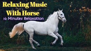 Relaxing Music With Horse - 10 minutes relaxation | My Nature World