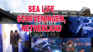 Sea Life Scheveningen, Netherlands / PINAY IN NETHERLAND