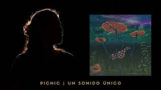 “Picnic” de Luitomá: Un sonido único