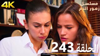 الحلقة 243 | مسلسل زهور الدم | مدبلج بالعربية | Kan Çiçekleri