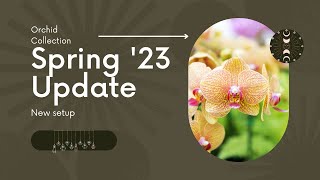 Spring '23 update