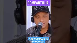 NÃO VOU MAIS TE PROCURAR #music #aovivo #viral #sertanejo #shortviral