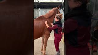 Equina behandeling Alicia Van Och - Palmira 1 deel 2