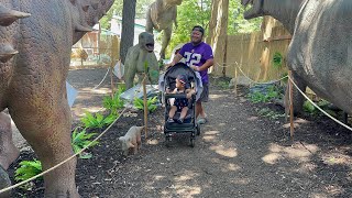 2024 vlog 2 A day at Como Zoo and Dinosaur expeditions