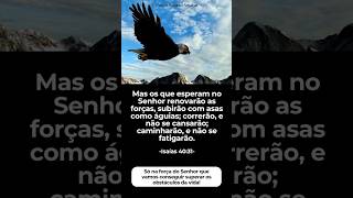 FORÇA NO SENHOR  - Bom Dia A Todos #fé #força #coragem