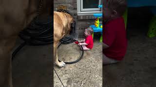 Baby Discovers Water Hose Powers 🤣🙌