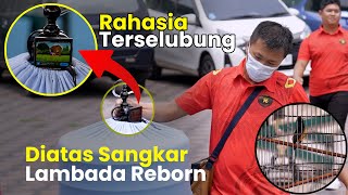 Rahasia Terselubung Lambada Reborn Bikin Selalu Tampil Mewah