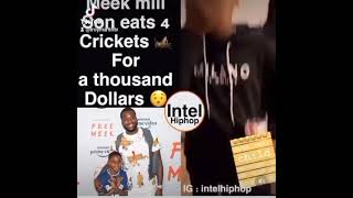 MEEK MILL SON EATS CRICKETS FOR A 1,000$ 😧😧😧