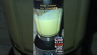 Mango Coconut Ice Cream