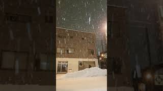 Winter in Hokkaido - Sapporo | Snow! Snow! Snow!