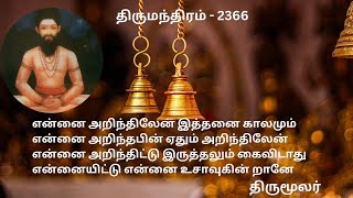 Thirumandhiram 2366 | Yennai Arindhilaen | என்னை அறிந்திலேன் | Daizee