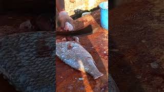 AMAZING FISH CLEAN & CUTTING #oddlysatisfying #fishcutting #fishcutting_skills