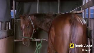 New best funny video l Sank funny video l with horse l