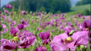 357 SDA Hymn - Come, Labor On (Singing w/ Lyrics)