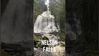 Nelson Falls, Tasmania #vanlife #chasingwaterfalls #waterfalls