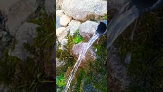 Natural water Spring #flora #swat #ytshorts