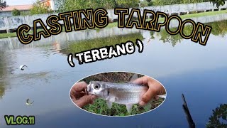 CASTING TARPOON ( Terbang ) Vlog.11