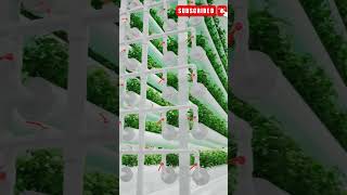 Vertical Farming