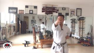 LEZIONE #06 - KARATE-DO - TIMUR GUNEY