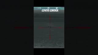 Coyote Hunting with Thermal Scope from Rix Optic Leap 6 #hunting #guns #shorts #thermalscope