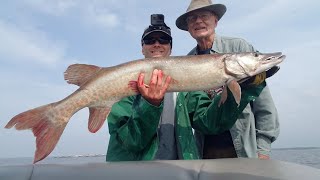 40" Musky