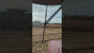 Last Field of Corn for 2023