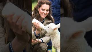 What is Kate Middleton's surname now?