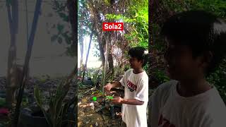 Sola2 sengol dong