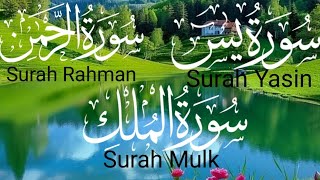 Surah yaseen ❤️Surah Rahman  ❤️ Surah Mulk❤️  Heart touching voice HD❤️