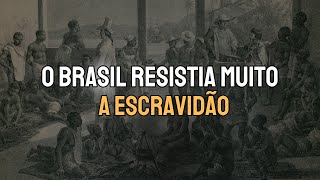 QUAIS AS CONSEQUÊNCIAS DA ABOLIÇÃO DA ESCRAVIDÃO TARDIA DO BRASIL?